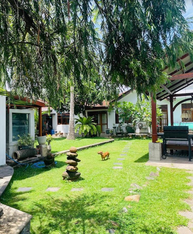 Ice Berg Apartman Dehiwala-Mount Lavinia Kültér fotó